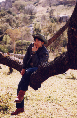 �����Q�V�΁A����ς�n�����I�H